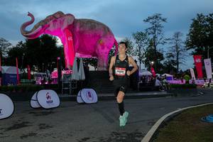 BIB: 
                            <button type="button" onclick="openModal(26529688)" class="btn btn-primary btn-sm float-right btn-popup" data-toggle="modal" data-target=".modal-high-quality">
                        <i class="fas fa-shopping-cart"></i> Add to Cart
                    </button>
                                            <button type="button" onclick="isThisMe(26529688, true)" class="btn btn-success btn-sm float-right btn-popup btn-isme hidden" data-toggle="tooltip" data-placement="bottom" title="นี่คือรูปของคุณใช่ไหม คลิกที่นี่เพื่อเอาเข้าอัลบั้ม">
                        <i class="fas fa-plus"></i> Add to album
                    </button>
                    <button type="button" onclick="isThisMe(26529688, false)" class="btn btn-warning btn-sm float-right btn-popup btn-isnotme hidden">
                        <i class="fas fa-ban"></i> Remove from album
                    </button>